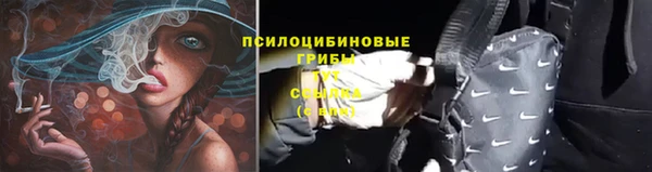 не бодяженный Нефтекумск
